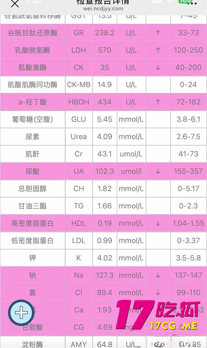 photo_20_2025-07-15_16-00-06.jpg photo_20_2025-07-15_16-00-06.jpg